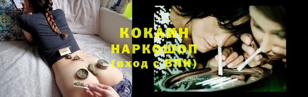 спиды Зеленокумск
